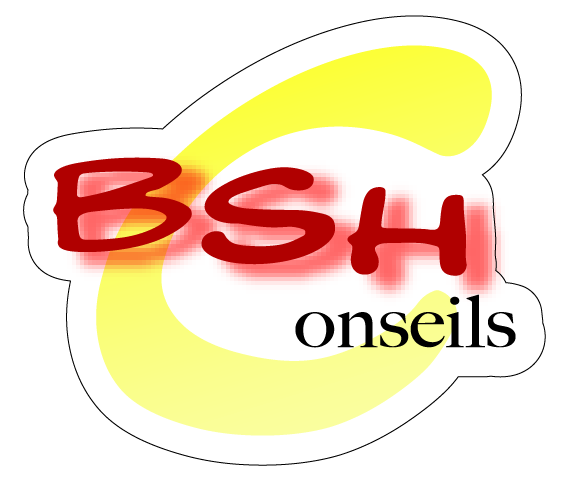BSH Conseil-02 logo Vendée façade Depuis près de 15 ans, Vendée Façade soigne vos façades en Vendée.